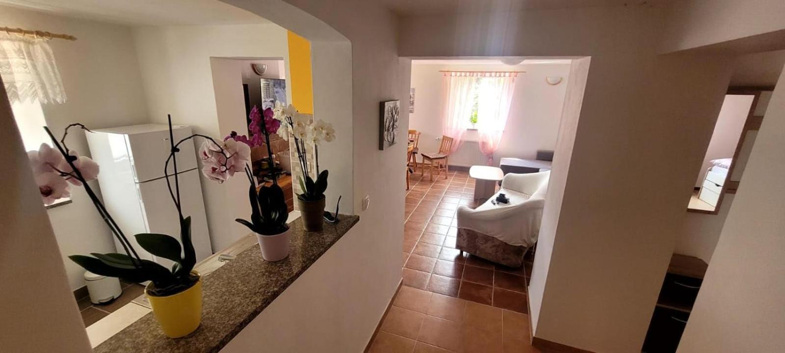 Apartma Brin 보베츠 외부 사진